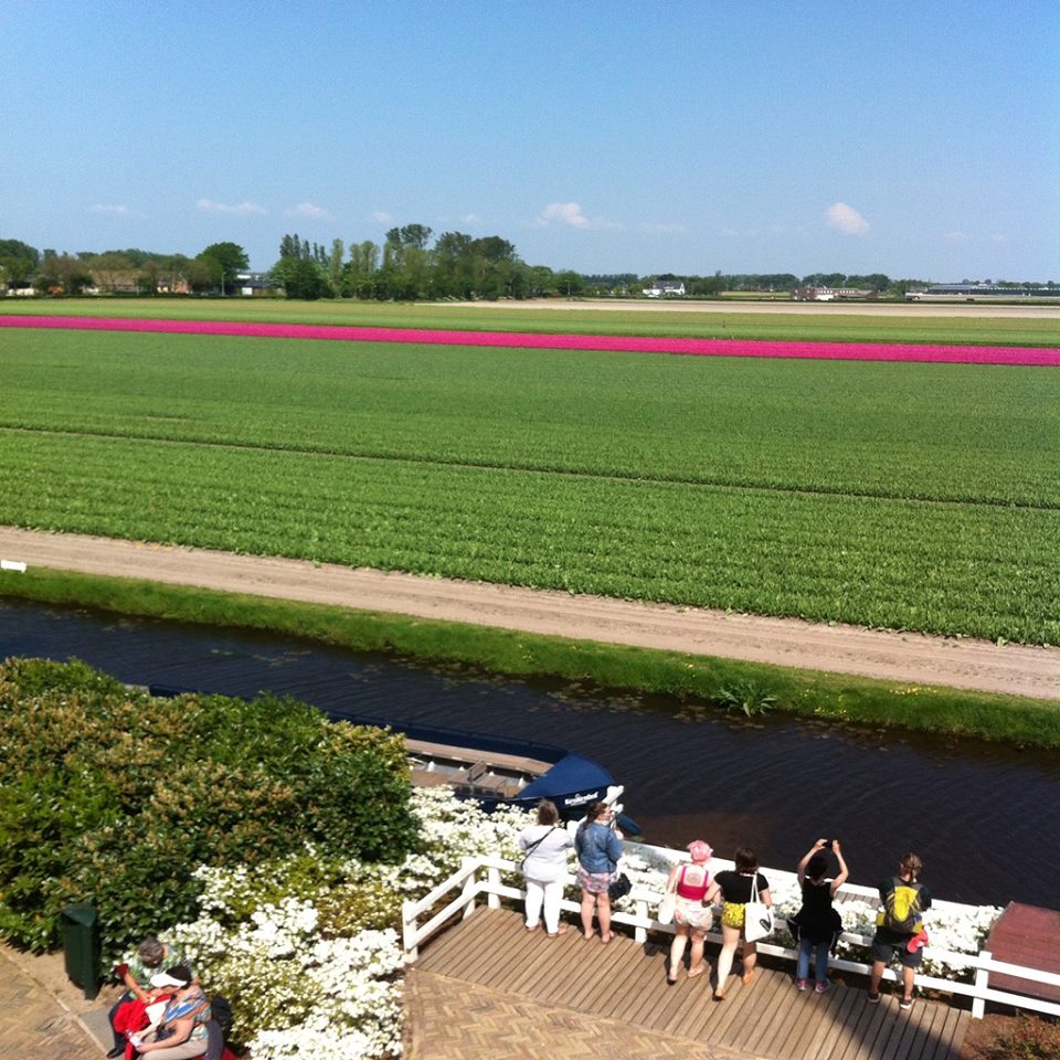  Keukenhof Taman Bunga Belanda