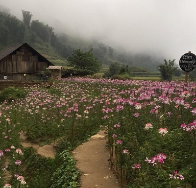 Jalan-jalan ke Sapa, Vietnam