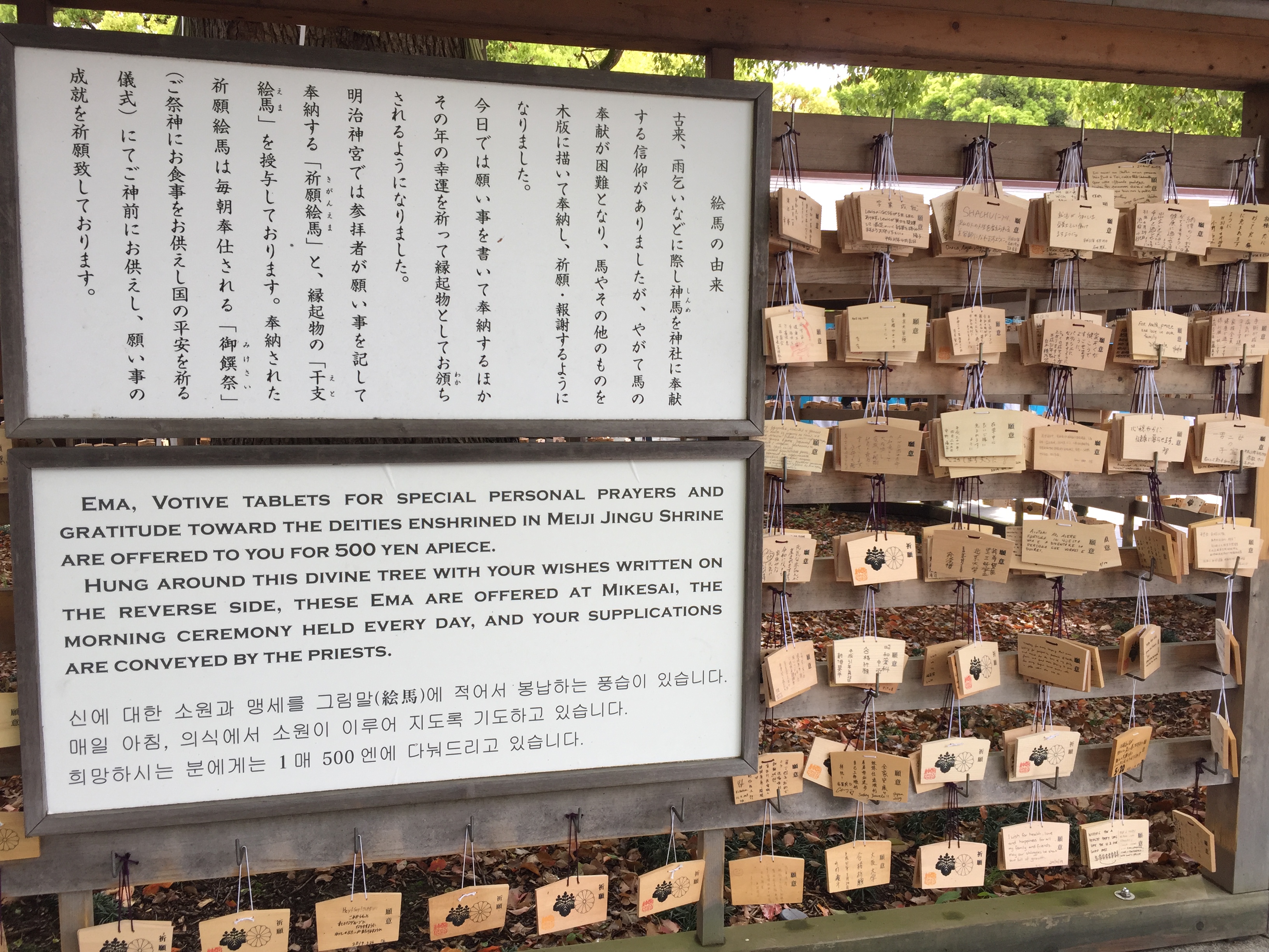 Jalan-jalan di Tokyo