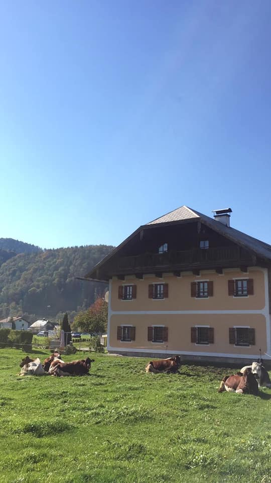 Jalan-jalan ke Salzburg, Austria