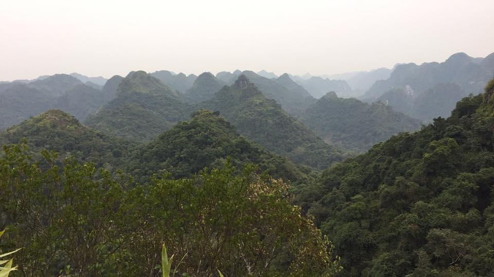 Cat Ba Island