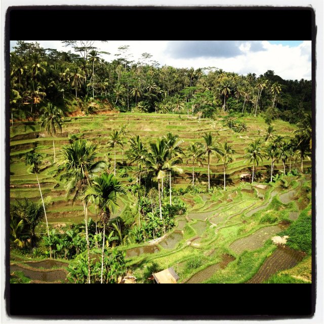 Holiday in Ubud, Bali