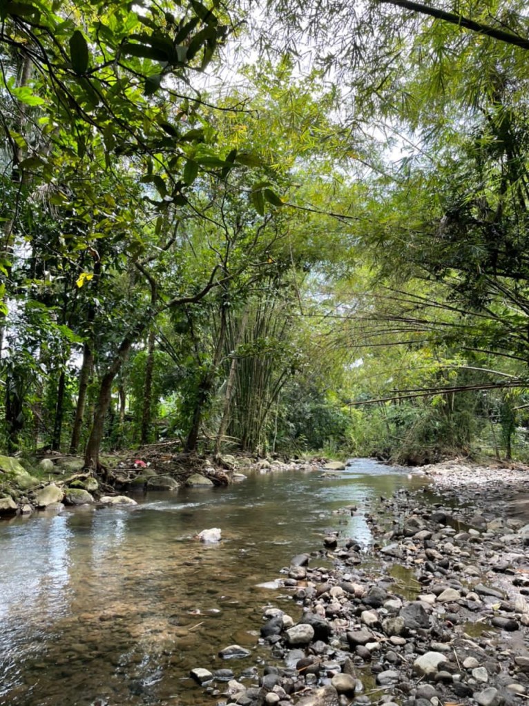 Horse riding in Indonesia
