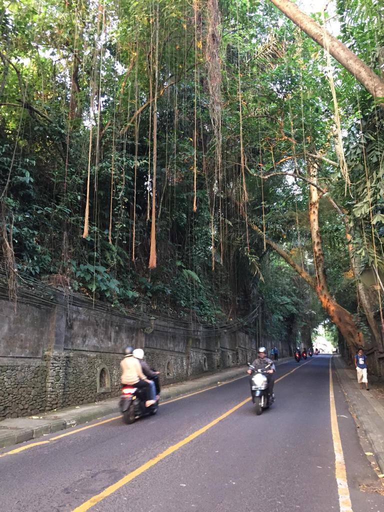 Holiday in Ubud, Bali