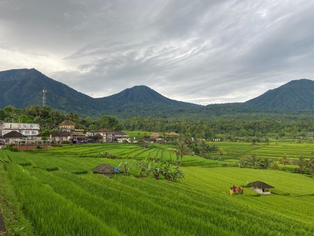 Munduk Bali