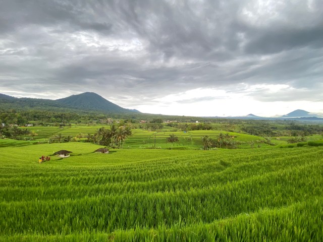 Tabanan Bali
