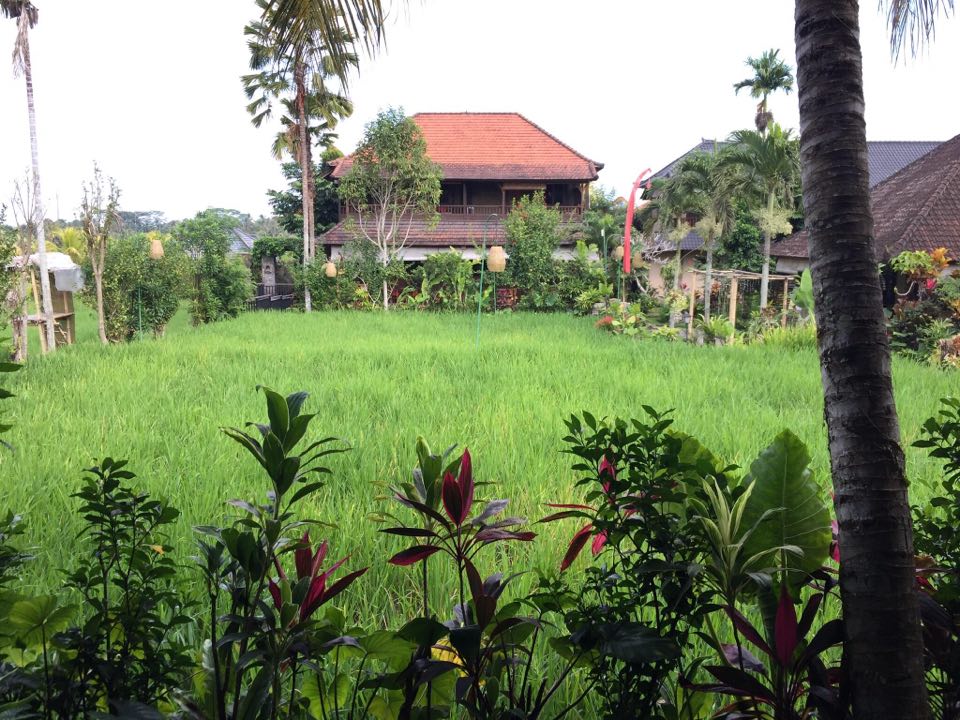 Seseh, Cemagi, Munggu