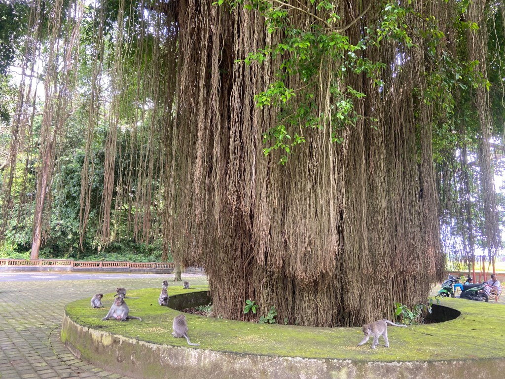 Tabanan Bali