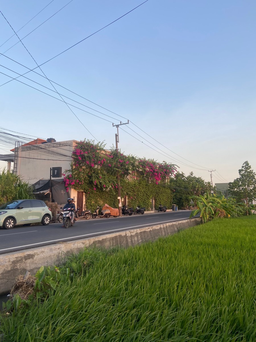 Seseh Bali
