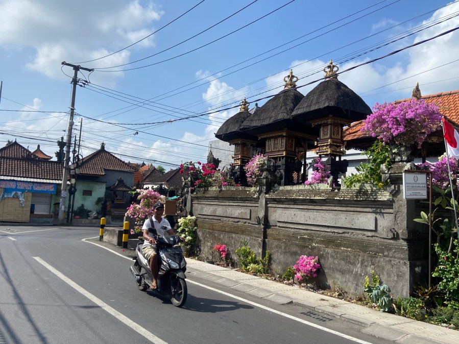Seseh Bali