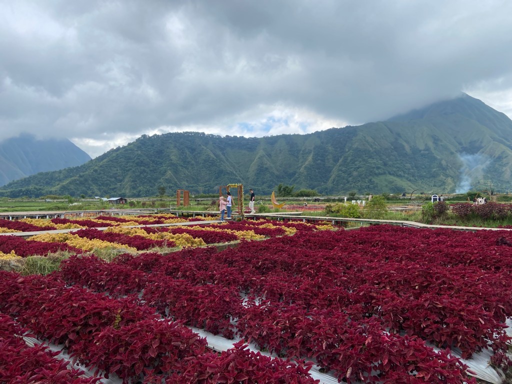 Lombok Indonesia